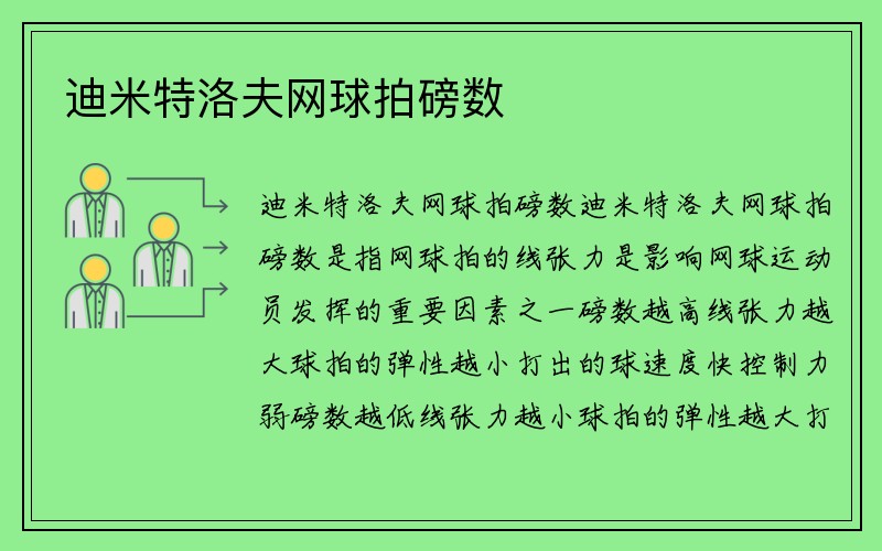 迪米特洛夫网球拍磅数