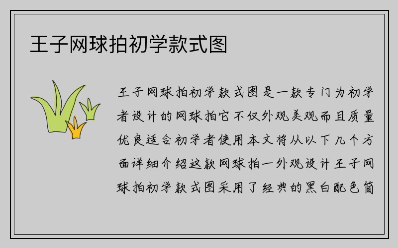 王子网球拍初学款式图