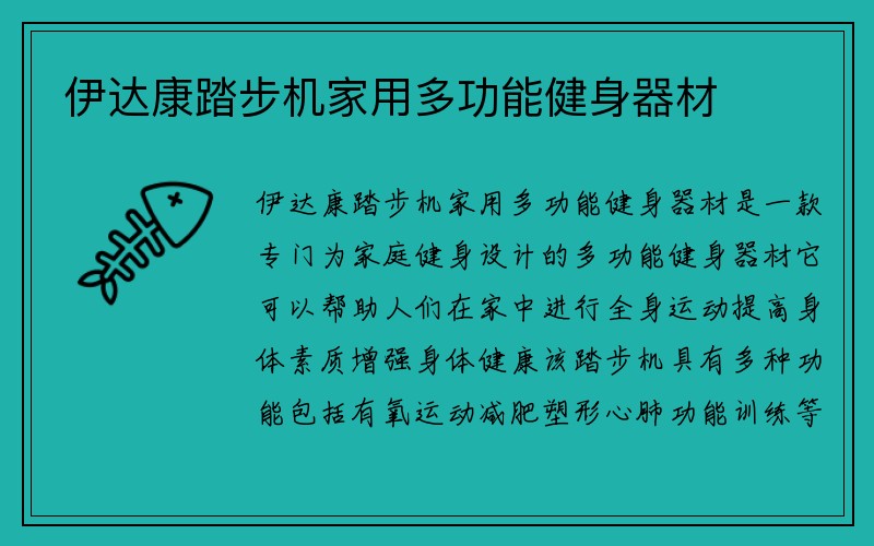 伊达康踏步机家用多功能健身器材