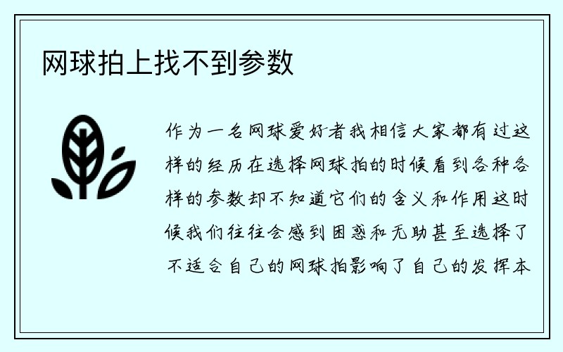 网球拍上找不到参数